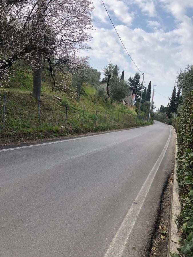 Casa Patrizia Daire Torri Del Benaco Dış mekan fotoğraf